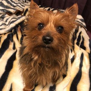 Meet your Posher, Edyta